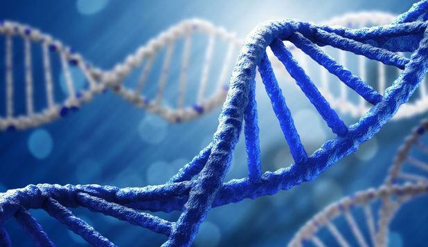 Cinci moduri în care tehnica revoluţionară de editare genetică CRISPR se poate aplica organismului tău