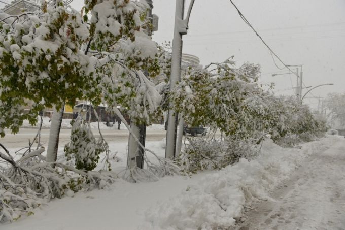 Situaţia din Chişinău, ora 13:00. Alţi 25 de copaci au căzut, iar circulaţia pe unele artere a fost reluată