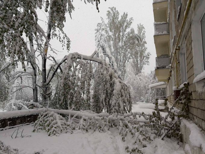 Situaţia în Chişinău la ora 11:00: trei mii de copaci doborâţi şi zeci de străzi blocate