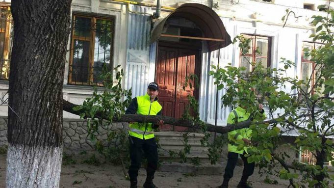 Evacuarea arborilor afectaţi în urma intemperiei continuă în Chişinău