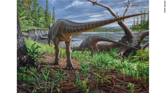Oamenii de ştiinţă au descoperit un dinozaur de dimensiunea unui curcan, care se plimba între Australia şi Antarctida
