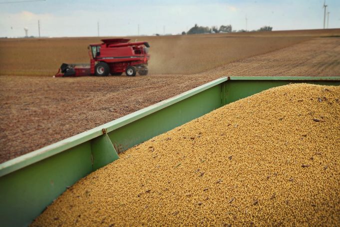 Producţia agricolă va marca un avans de 5% în 2018, expert IDIS
