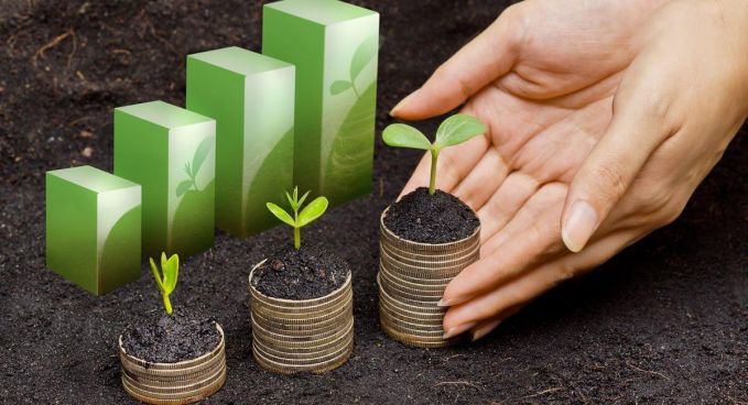 Un program de promovare a economiei „verzi” a fost aprobat de Guvernul de la Chişinău