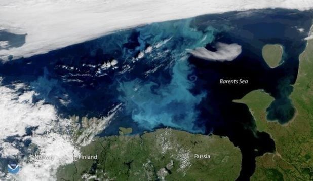 Savanţii au scos la iveală un efect catastrofal al topirii gheţii de la Polul Nord. ''Vor exista consecinţe drastice''