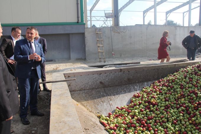 Producătorii de mere se plâng că procesatorii oferă preţuri prea mici