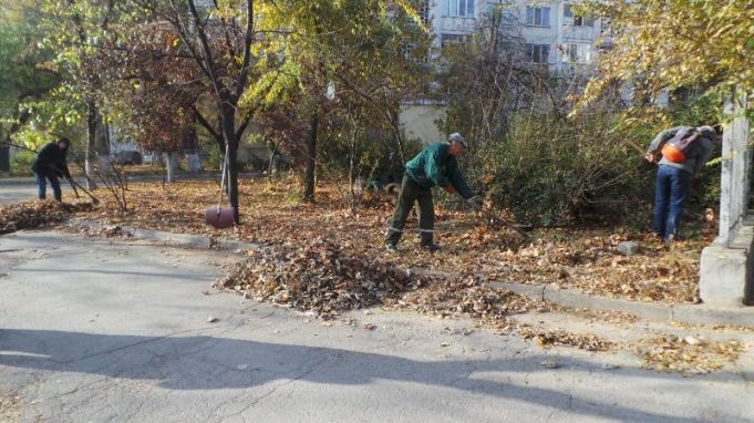 Sâmbătă au fost evacuate circa 1600 de metri cubi de deşeuri vegetale din curţile blocurilor din Chişinău