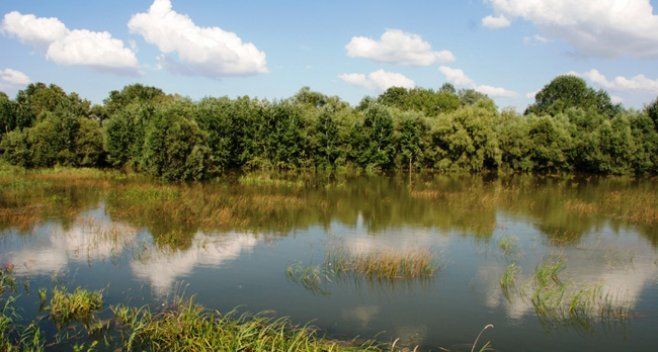 Rezervaţia “Prutul de Jos” a fost înscrisă în Reţeaua mondială UNESCO a Rezervaţiilor Biosferei