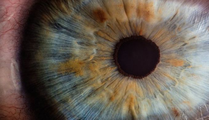 Savanţii combină tehnologii pentru a vedea retina într-un detaliu fără precedent