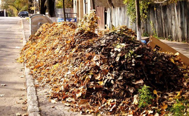 Primăria Chişinău anunţă o acţiune de colectare a frunzişului din curţile blocurilor de locuinţe. Detalii