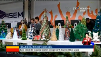 Studenţii şi-au folosit creativitatea pentru a crea pomi de Crăciun Eco, banii din vânzări vor fi donaţi familiilor sărace