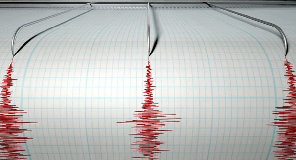 Un cutremur de 3,1 pe Richter s-a produs în această dimineaţă în judeţul Buzău