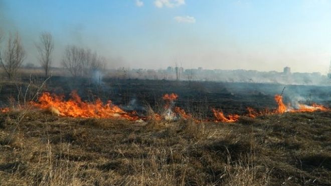 17 focare de vegetaţie au fost stinse de pompieri