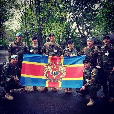 Militarii Armatei Naţionale participă la “Viking - 2018”