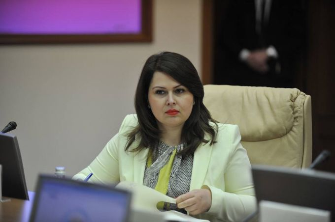Cristina Lesnic: Statul îşi finanţează programul de reintegrare
