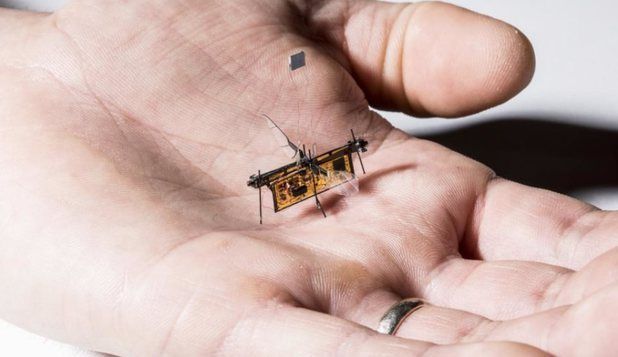 Prima insectă robotică wireless şi-a luat zborul şi deschide calea într-un nou domeniu tehnologic