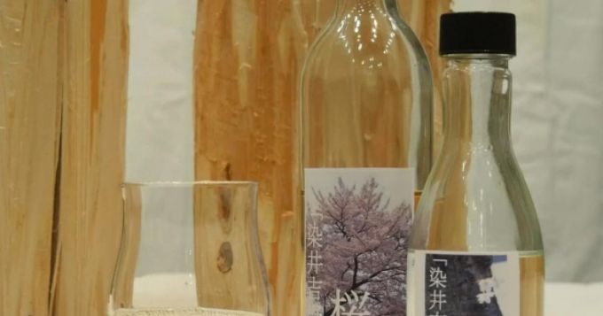 Cercetătorii japonezi au fabricat alcool din lemn