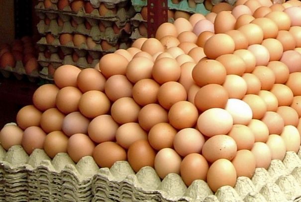 Ucraina este cel mai mare exportator de ouă în Uniunea Europeană