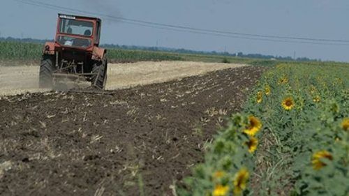 Din 1 iulie se dă startul oferirii subvenţiilor în avans pentru afacerile în agricultură