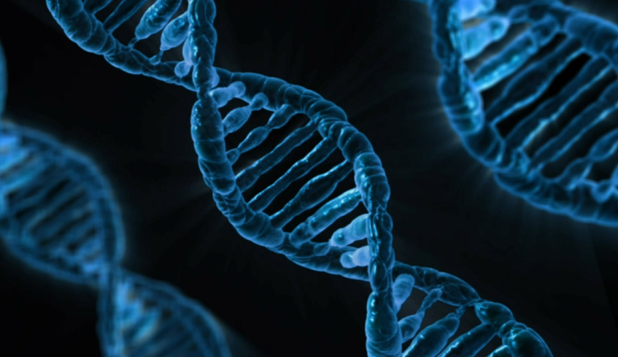 O tehnică de modificare a ADN-ului ce ar putea ajuta la tratarea bolilor poate provoca apariţia cancerului
