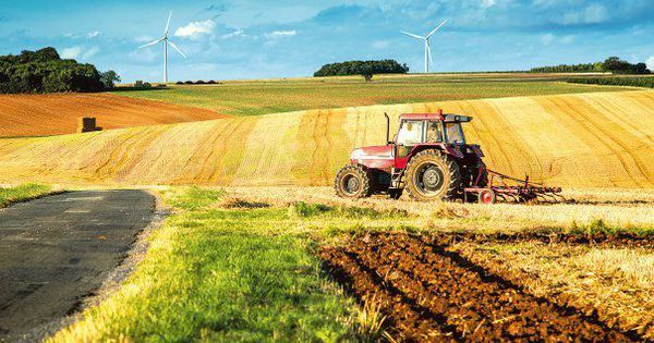 Doar 21 de fermieri din raionul Dubăsari au primit certificate de acces ca să-şi poată lucra pământurile situate în zona din stânga Nistrului