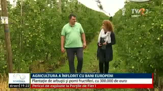 VIDEO.  Agricultura românească a înflorit cu bani europeni. Plantaţie de arbuşti şi pomi fructiferi, cu 300 de mii de euro