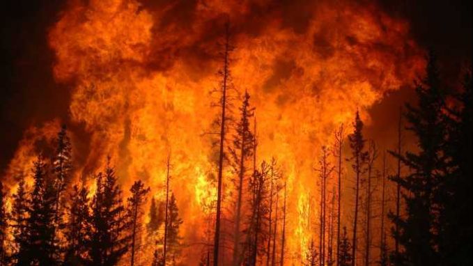 Stare de urgenţă într-un oraş din Germania din cauza unui incendiu de pădure