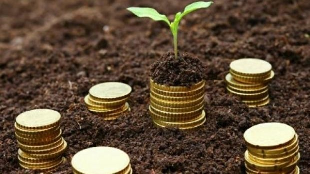 AIPA a achitat producătorilor agricoli din Republica Moldova subvenţii în valoare de 169,9 mil