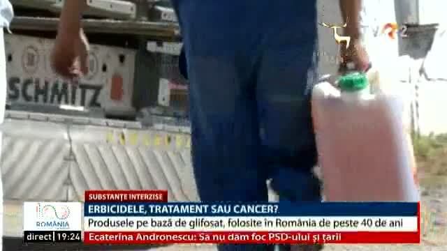 VIDEO. Scandalul erbicidelor care ar fi provocat cancer în SUA are repercusiuni şi în România. "Greenpeace" a cerut interzicerea glifosatului în toate ţările UE