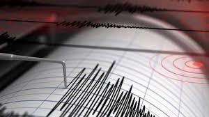 Trei cutremure s-au produs noaptea în zona seismică Vrancea, din România