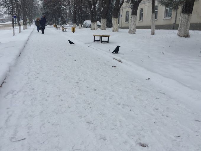 Meteo. Cum va fi vremea în Republica Moldova astăzi, 15 ianuarie