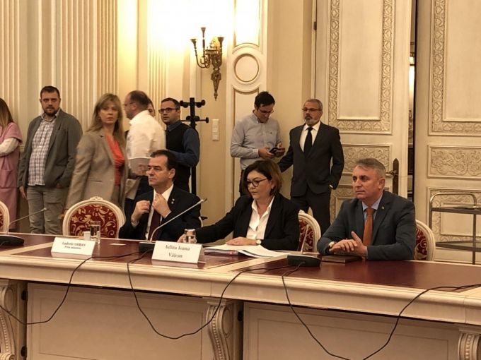 Comisiile parlamentare de la Bucureşti au dat undă verde Adinei Vălean pentru postul de comisar european din partea României
