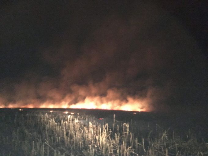 Un câmp de porumb de 100 ha s-a aprins la Ungheni. Pompierii au luptat cu flăcările mai bine de cinci ore