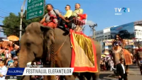 A început Festivalul internaţional al elefanţilor