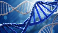 ADN şi ARN nu sunt singurele molecule care pot stoca informaţii genetice
