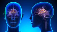 Creierul uman se ''reorganizează'' în urma unor traume corporale