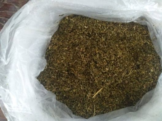 Poliţiştii au confiscat de la un bărbat din Ungheni două kilograme de marijuana, în valoare de 200.000 lei