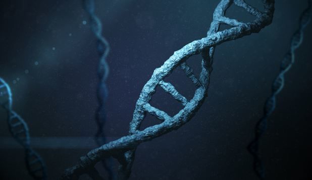 Editarea genetică a oamenilor poate deveni sigură cu ajutorul unei inovaţii în instrumentul CRISPR