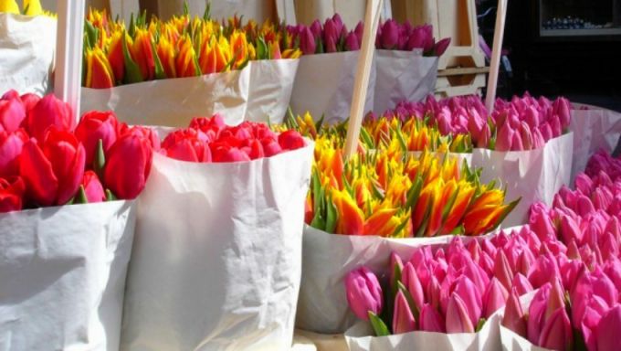 Fisc prezintă rezultatele controalelor făcute de Ziua Îndrăgostiţilor la comercianţii de flori