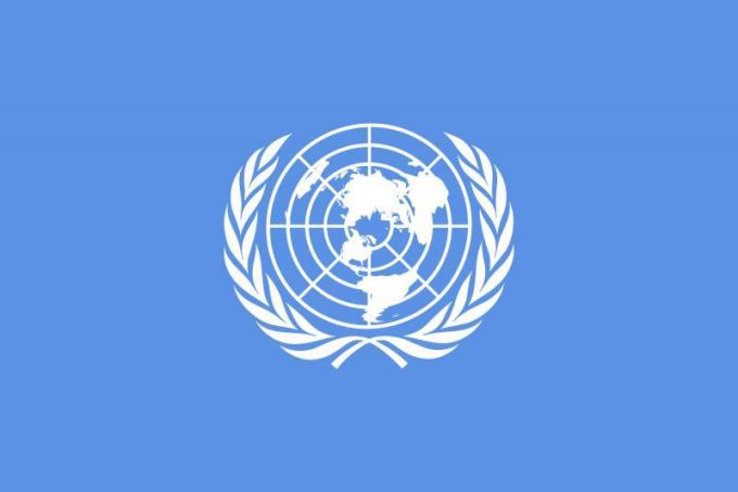 La Chişinău ar putea fi deschis Oficiul ONU pentru Servicii de Proiect
