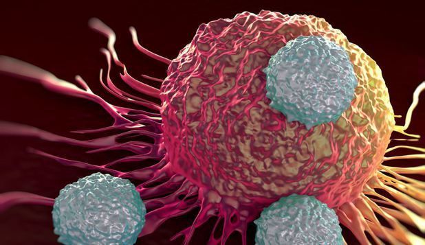 Dezvoltarea cancerului ar putea avea la bază o singură celulă