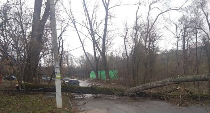 Mai mulţi copaci din Chişinău au fost doborâţi de vânt, iar o stradă a fost temporar blocată