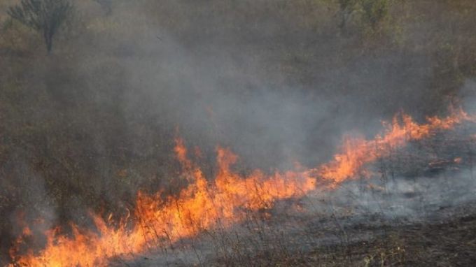 Agenţia „Moldsilva” a anunţat că vor fi stabilite măsuri de prevenire a incendiilor în fondul forestier