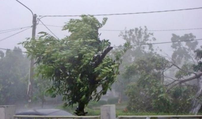 Vântul puternic din ultimele 24 de ore a provocat mai multe pagube în Republica Moldova