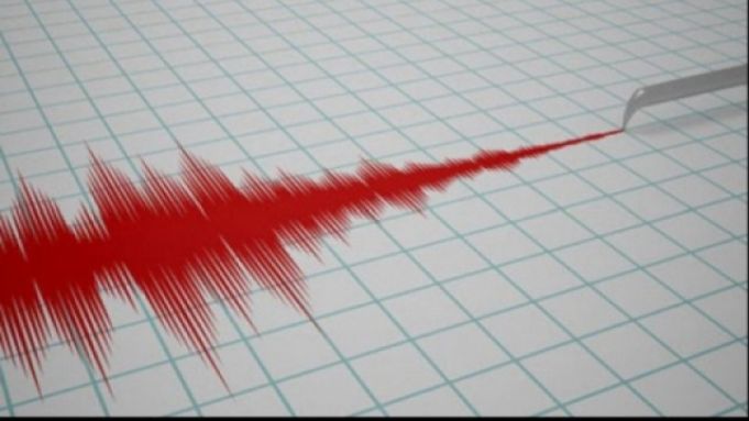 Cutremur cu magnitudinea 3,2 pe scara Richter în judeţul Vrancea, miercuri dimineaţa