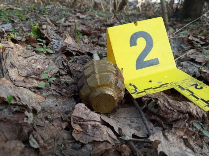 Un bărbat a aruncat o grenadă în aer, în apropierea localităţii Ruseştii Noi. Nimeni nu a avut de suferit
