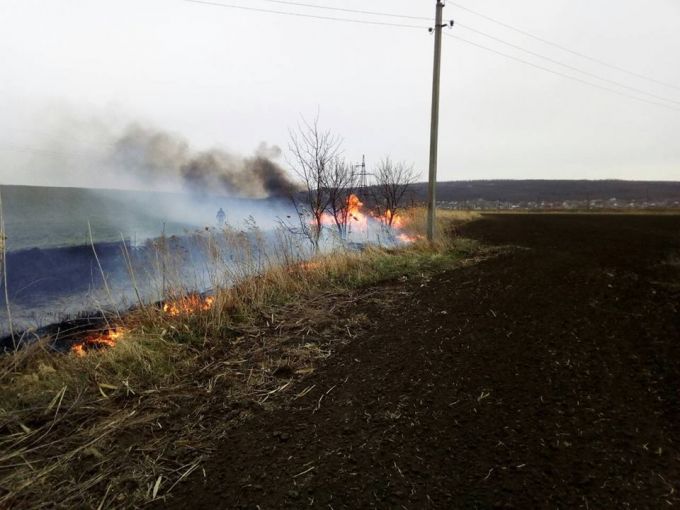 VIDEO. Incendiile de vegetaţie au mistuit 435 ha de teren în 24 de ore