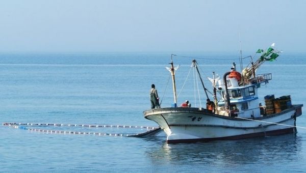 Consiliul UE dă undă verde planului multianual de gestionare a pescuitului în apele occidentale