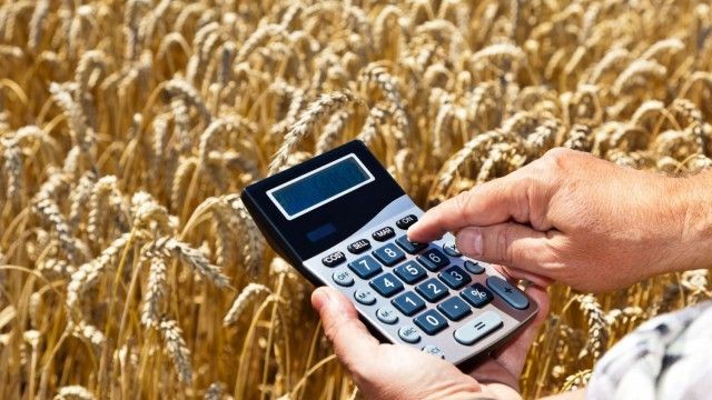 Numărul de cereri de subvenţionare, depuse de fermieri, mai mare decât anul trecut