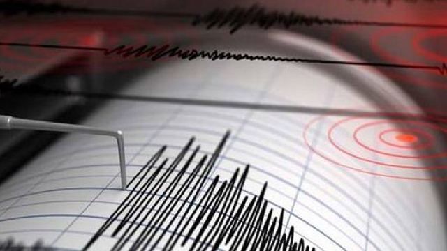 Un cutremur s-a produs sâmbătă după-amiază în zona seismică Vrancea