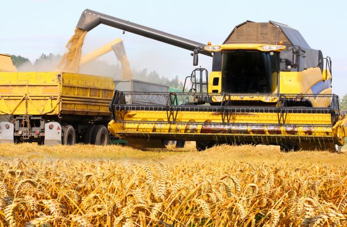 Excedent de peste 135 de milioane de euro în comerţul internaţional cu cereale